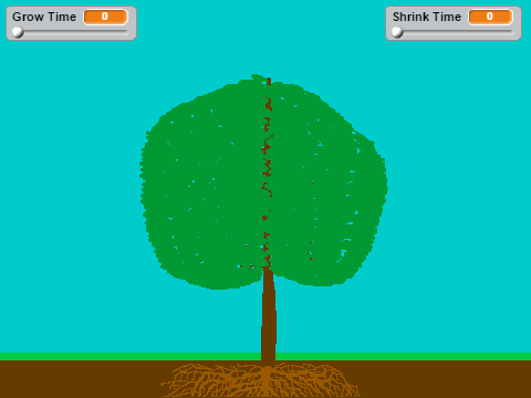 Growing Tree Animation