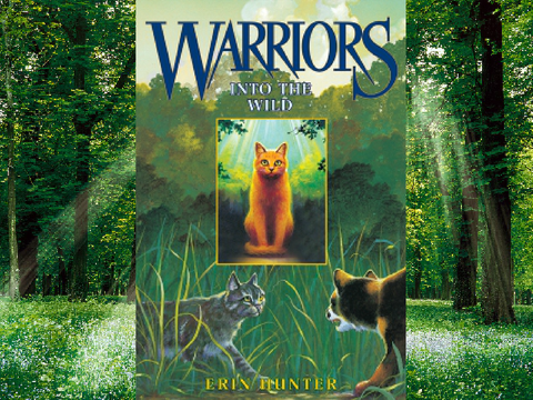 Warriors Books (Old Covers)