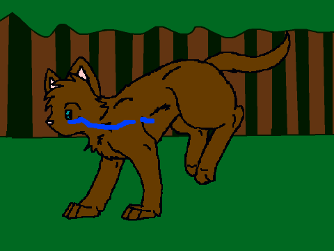 Bobcat Running Through Forest Cycle