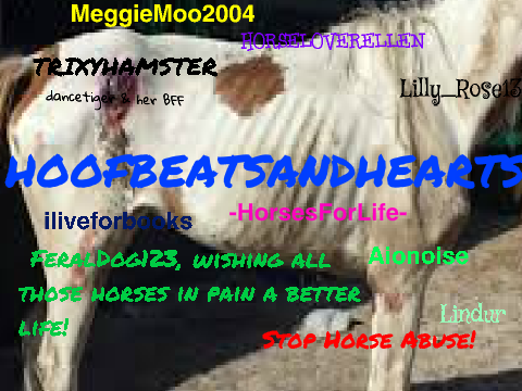 Sign if you don't like horse cruelty! remix remix remix remix remix