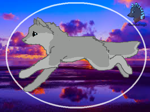 Wolf Run Cycle