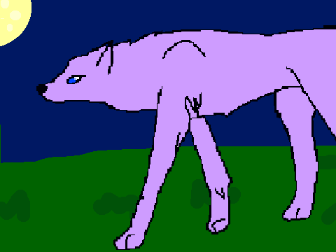 wolf running away