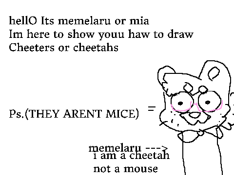 How to : Cheetahs