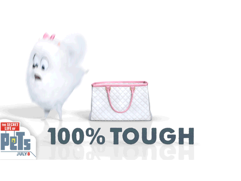 Secret Life of Pets Leonard isn't a good boy: HE IS 