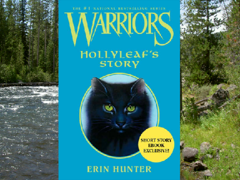 Warriors Books (Novellas/EBooks)