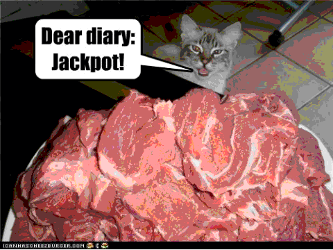 Lolcats Episode4