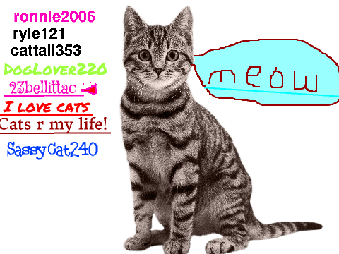 sign here to stop cat cruelty remix remix remix