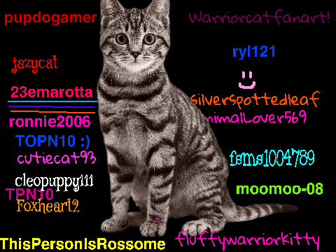 Sign in here to stop cat cruelty! (remixed142X) remix remix