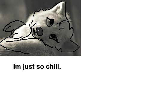 dare memes with real pictures
