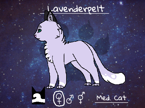 Warrior Cats: New Generation remix