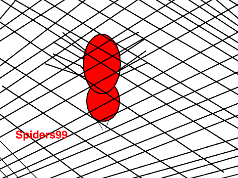 logo competition Rider 800 version