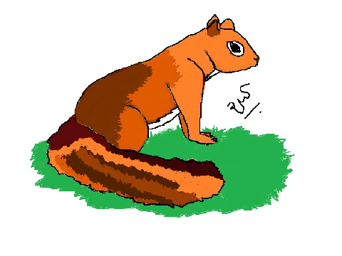 The squirrel I drew for my mom