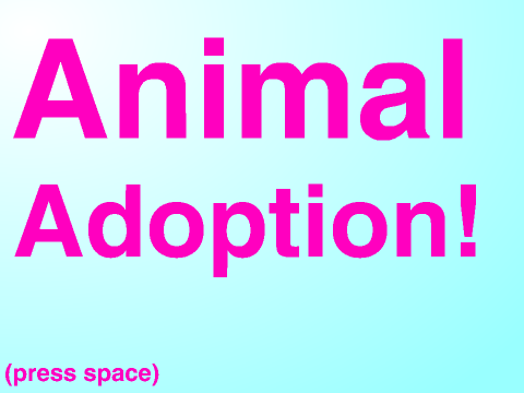Animal Adoption