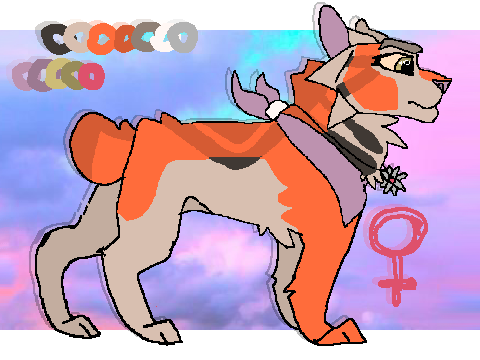 1000 FOLLOWER {my entry] Brynja