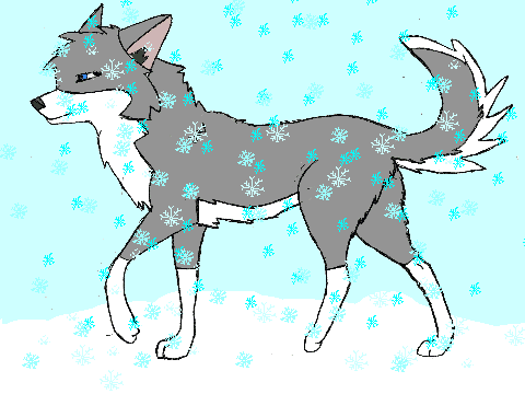 husky walking through snow