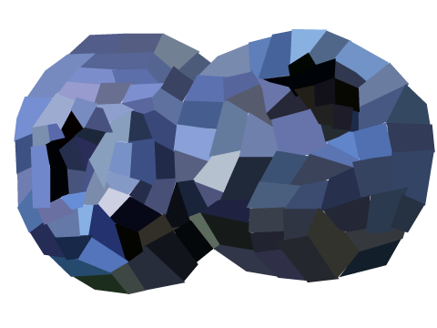 Blueberry Polyart