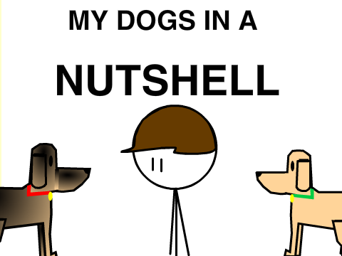 My dogs in a nutshell