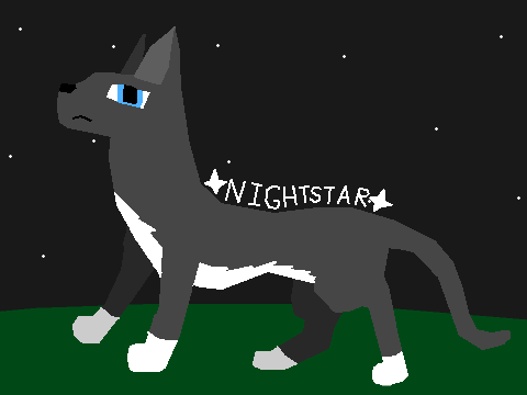 Nightstar (NightClan and CloudClan RP)