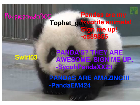 Sign if you are against PANDA POACHING! remix remix remix remix remix