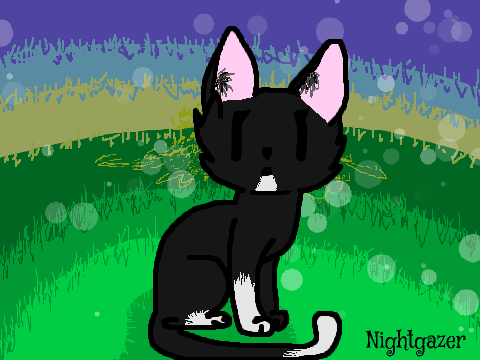 Warrior Cats RP : Blossomclan and Astroclan : Nightgazer