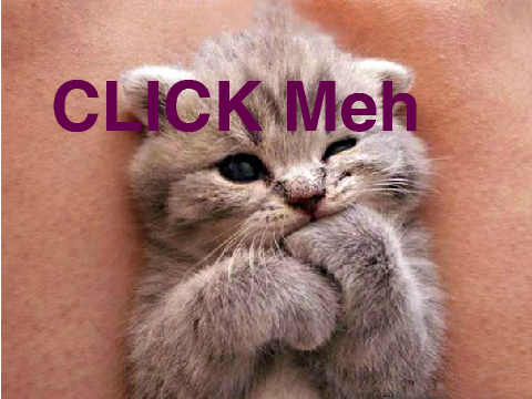 Cute Kittens Memes (beware spelling errors)