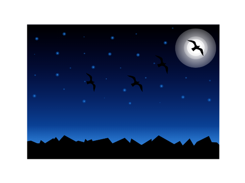 Night Sky