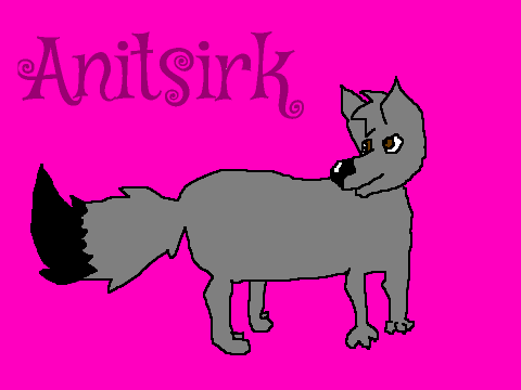Anitsirk