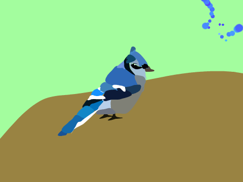 Blue jay blockshade