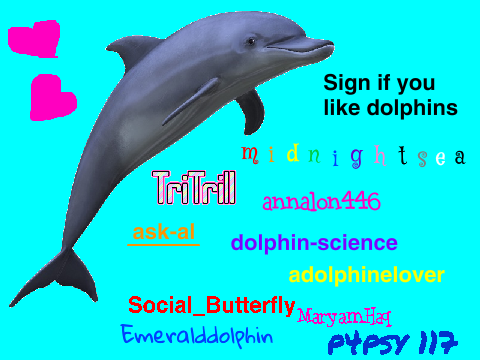 sign if you like dolphins remix remix remix remix remix remix remix remix remix remix remix remix