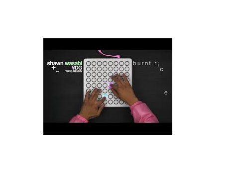 shawn wasabi burnt rice