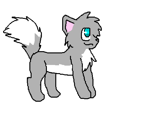 My Cat