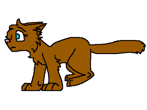 Cat Run Cycle