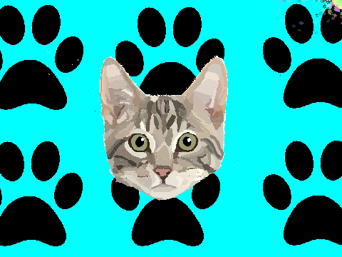 -=Cat=-