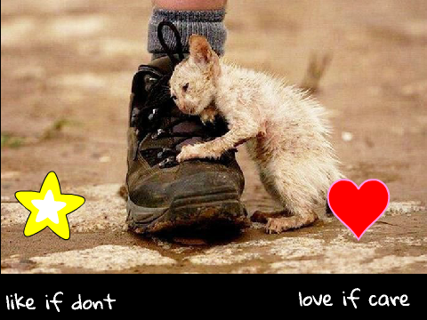 ☆♡love if care☆♡ remix remix remix