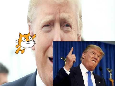 The Trump Game! 