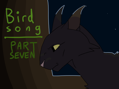 bird song / 7