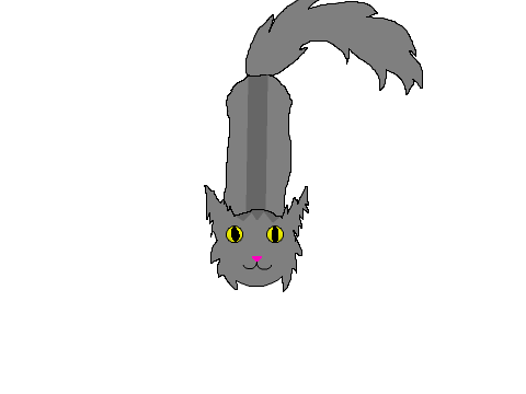Graystripe-Drawing Practice