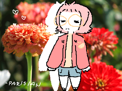 rosy // new oc