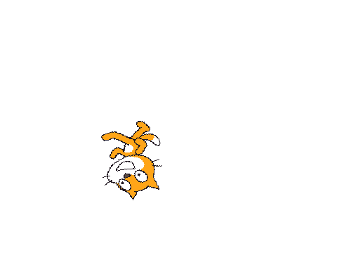 Fast cat
