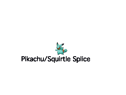 Pikachu/Squirtle