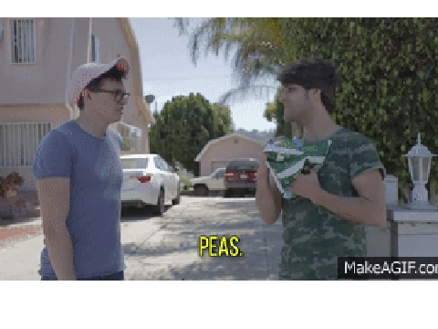 The Steven Suptic Experience- Lets Get Peas copy