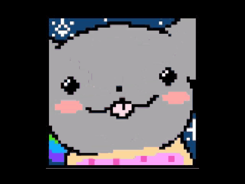 Popular Licky Cat!