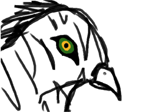 Spoiled Eye