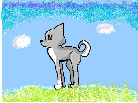 husky coloring contest =3