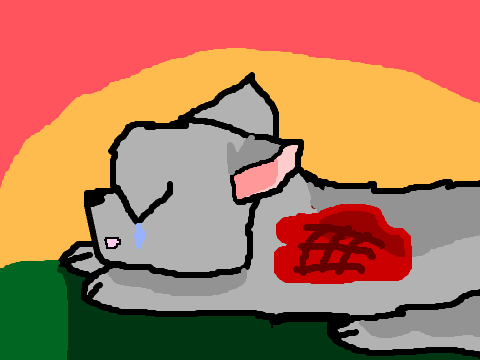 Warrior Cats Picture Animation: Faded