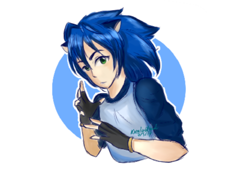 Human!Sonic Redraw 