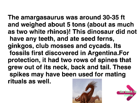 Dinosaur Museam Game
