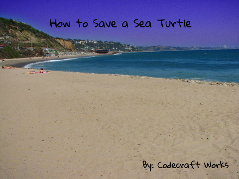 How to save a Sea Turtle