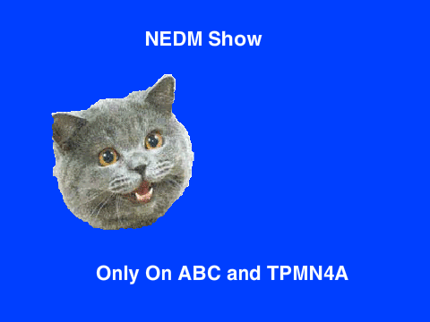 NEDM Show Poster