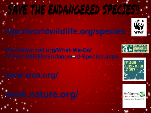 Save the Endangered